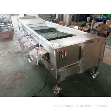 Blueberry Sorting Machine Grading Machine